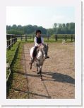 Pict0199 * im vollen Galopp * 596 x 795 * (141KB)