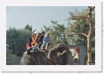 alex_rapperswil_elefant * Kinderzoo * 1536 x 1024 * (248KB)